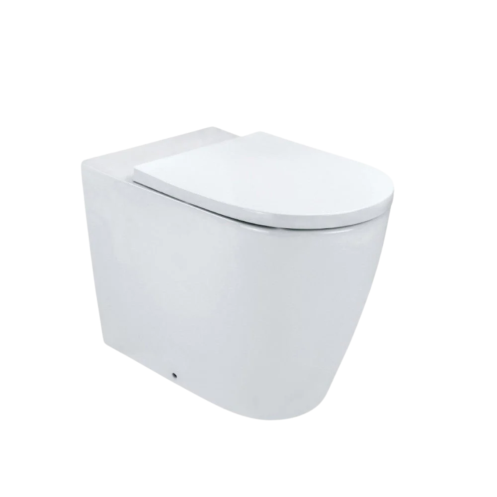 Arcisan Synergii Slim Wrap Soft Close Toilet Seat Only