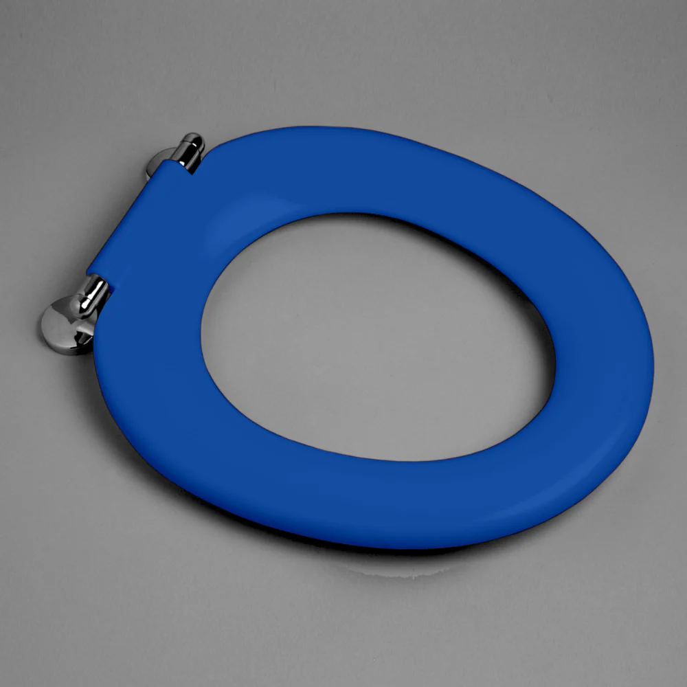 Caroma Pedigree II Single Flap Care Seat with GermGard Sorrento Blue - Image 2