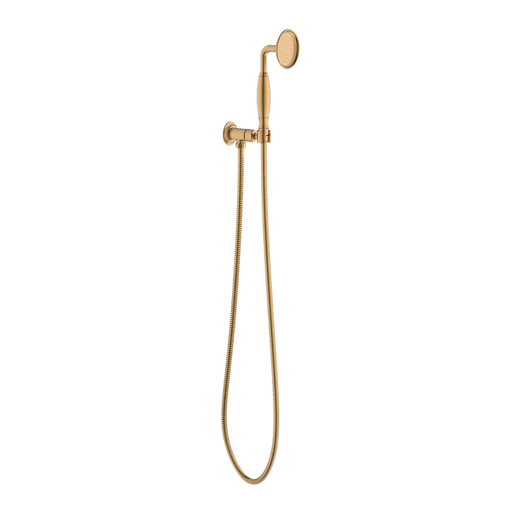 ADP Eternal Hand Shower On Hook Brushed Brass