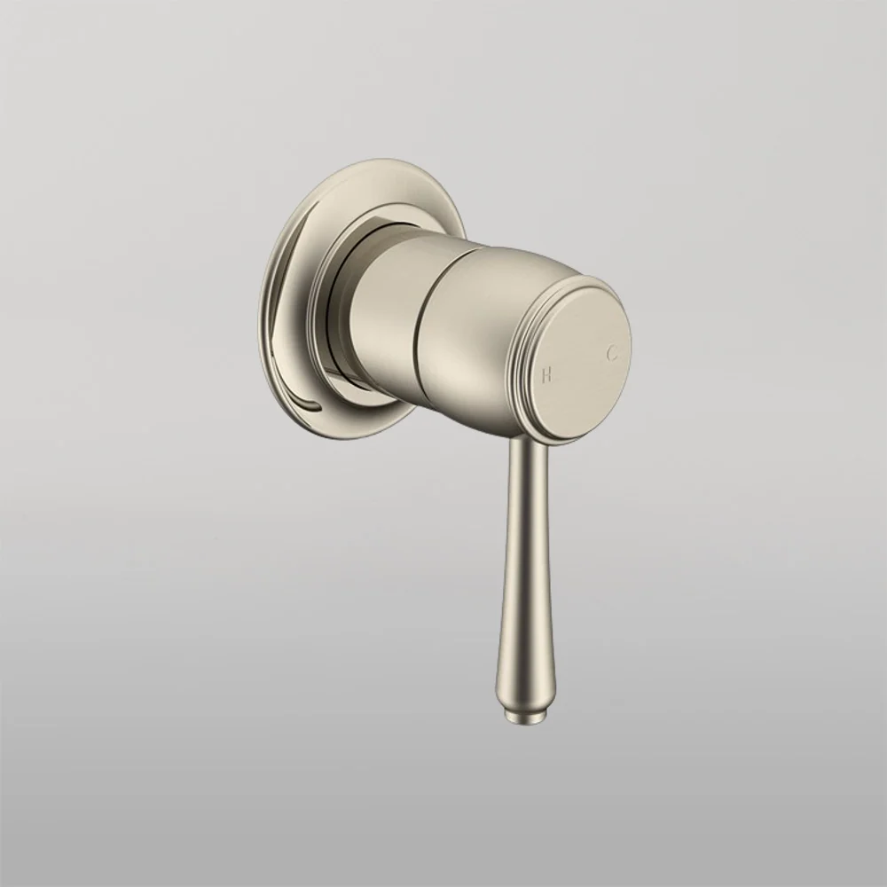 ADP Eternal Wall Mixer Brushed Nickel - Image 2