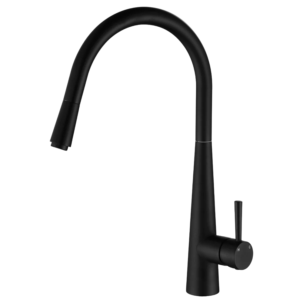 Fienza Hustle Deluxe Gooseneck Pull Out Kitchen Mixer Matte Black Lead Free