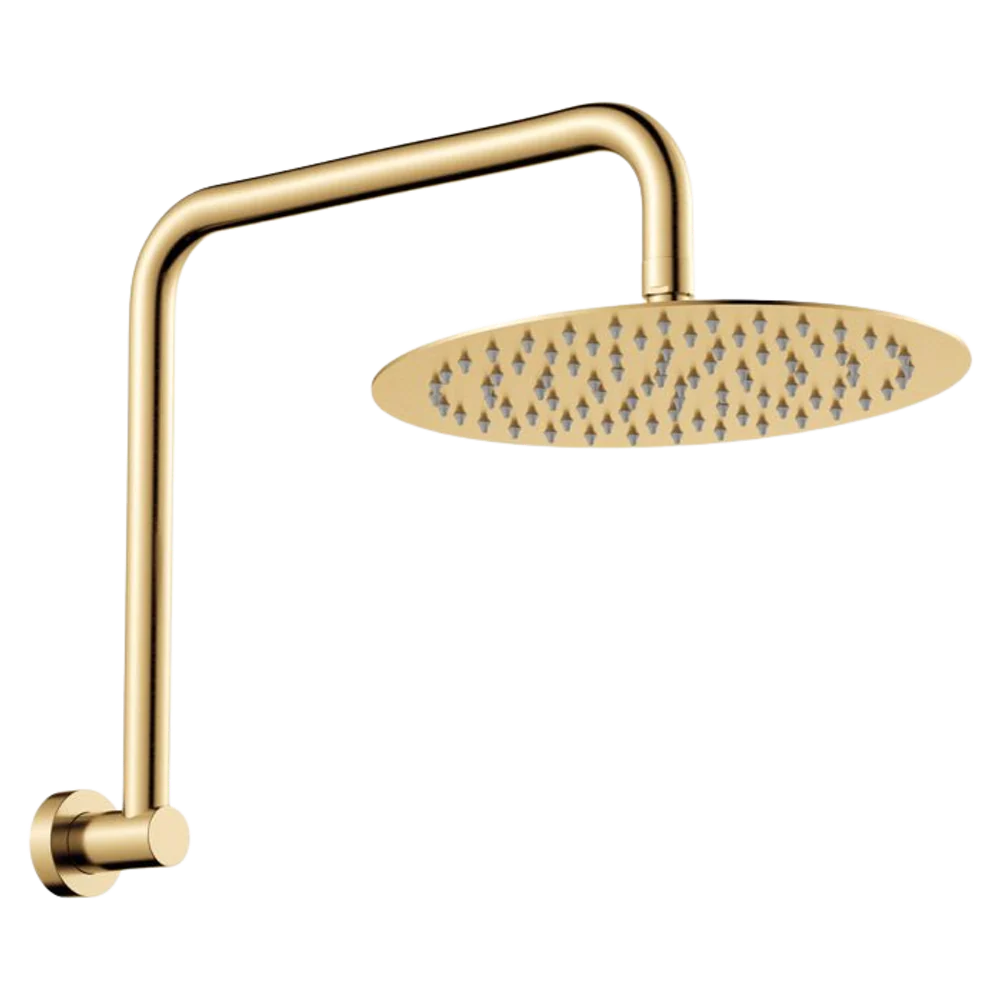 Fienza Kaya Gooseneck Shower Arm Set Urban Brass