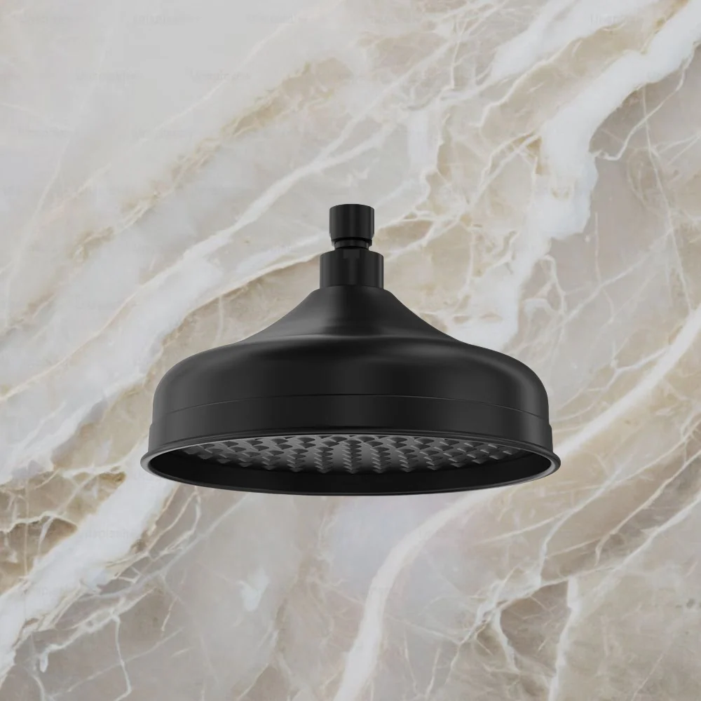 Fienza Lillian Shower Head Matte Black - Image 2