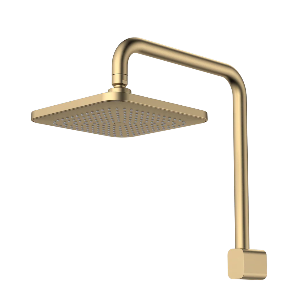 Caroma Luna Fixed Overhead Shower Brushed Brass