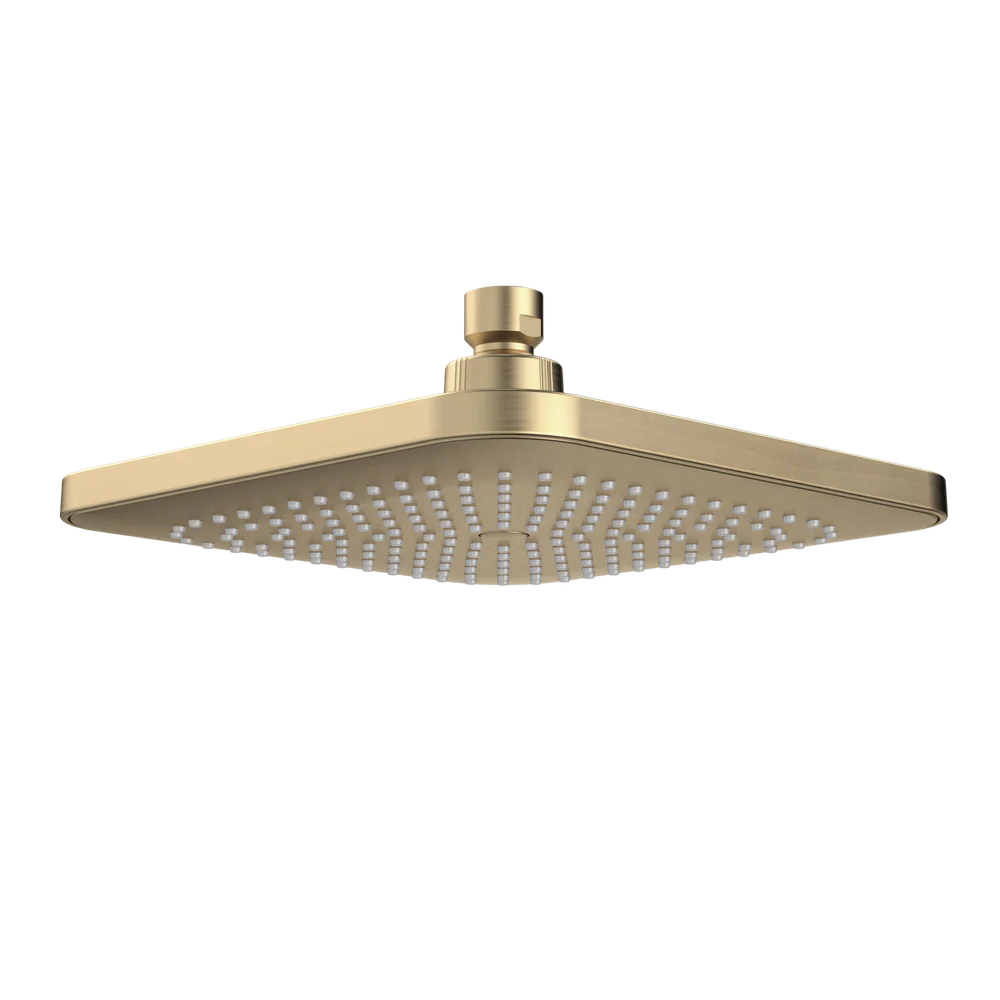 Caroma Luna Overhead Shower Head Brushed Brass