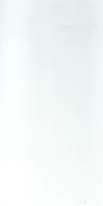 Tiles Fordham Gloss White 200 x 400mm