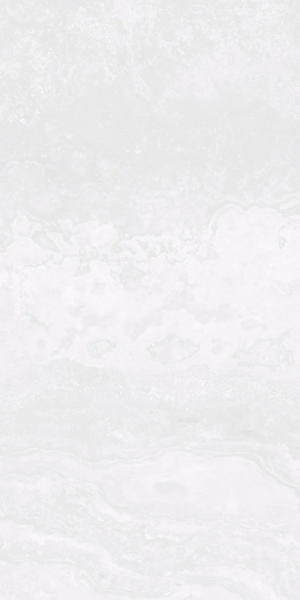 Tiles Nina White Matt P4 300 x 600mm