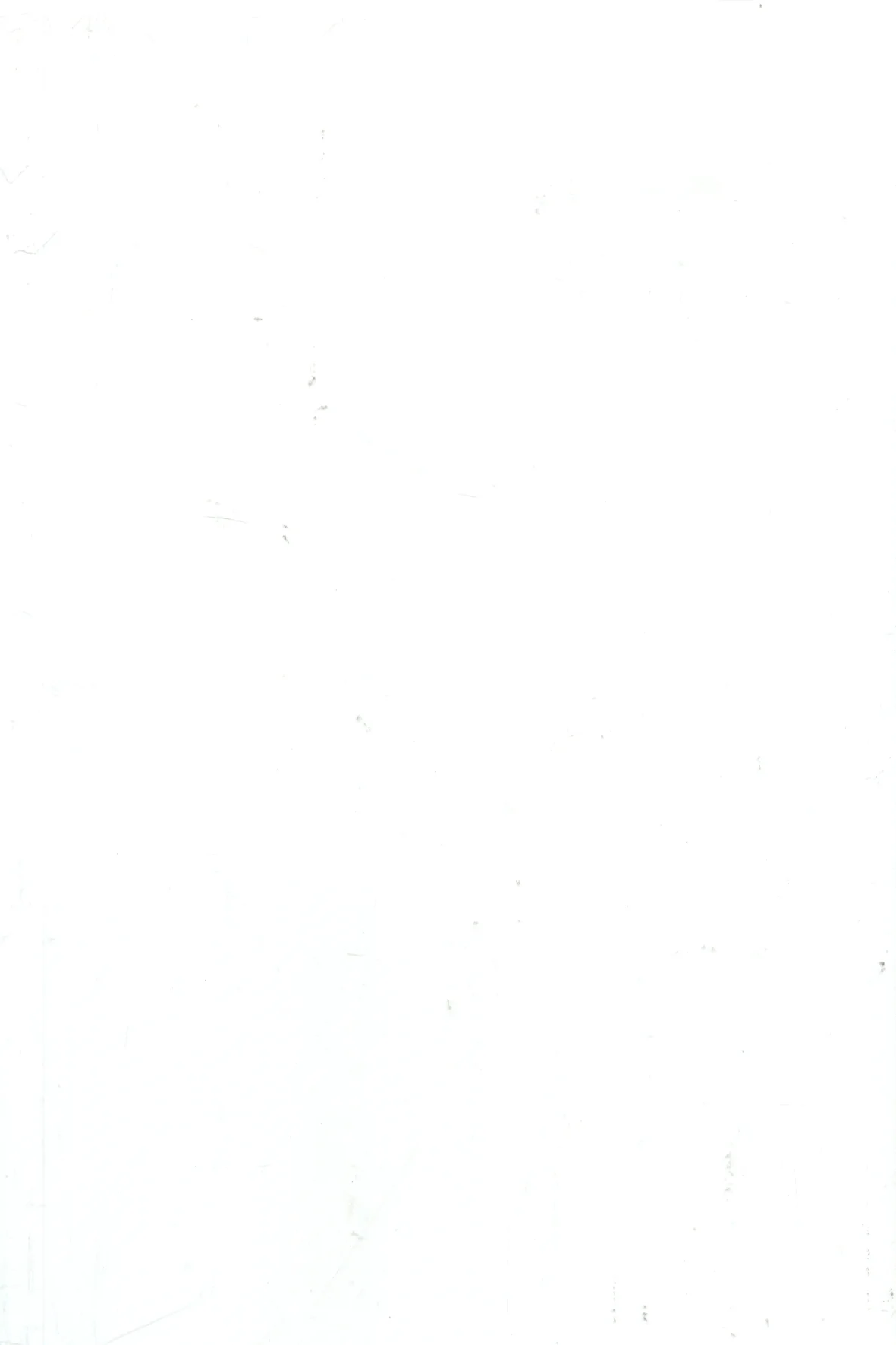 Tiles Sundara Gloss White Walls 200 x 300mm