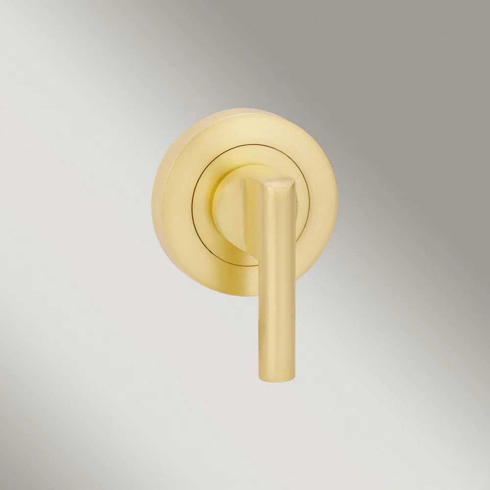 Zanda Round Escutcheon With Disabled Turn Satin Brass - Image 2