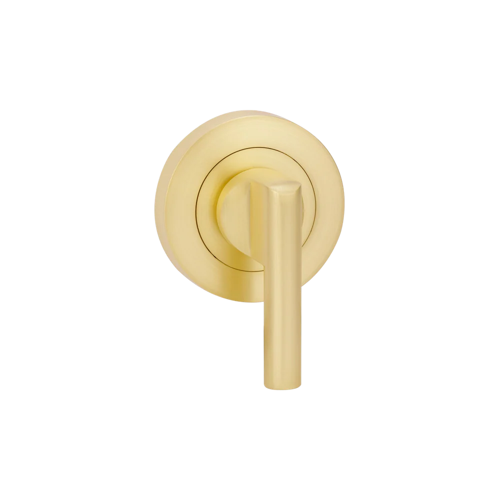 Zanda Round Escutcheon With Disabled Turn Satin Brass - Image 3